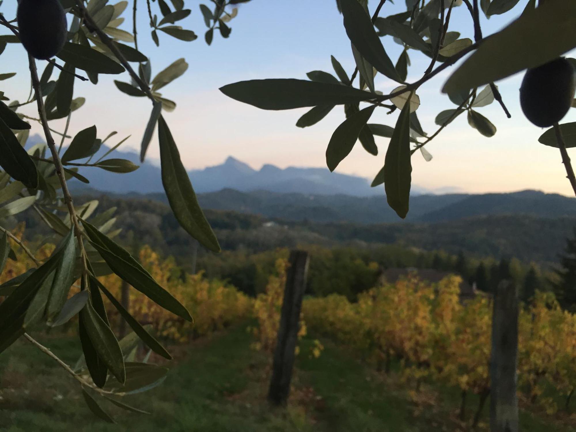 Agriturismo Il Bardellino Fivizzano Buitenkant foto