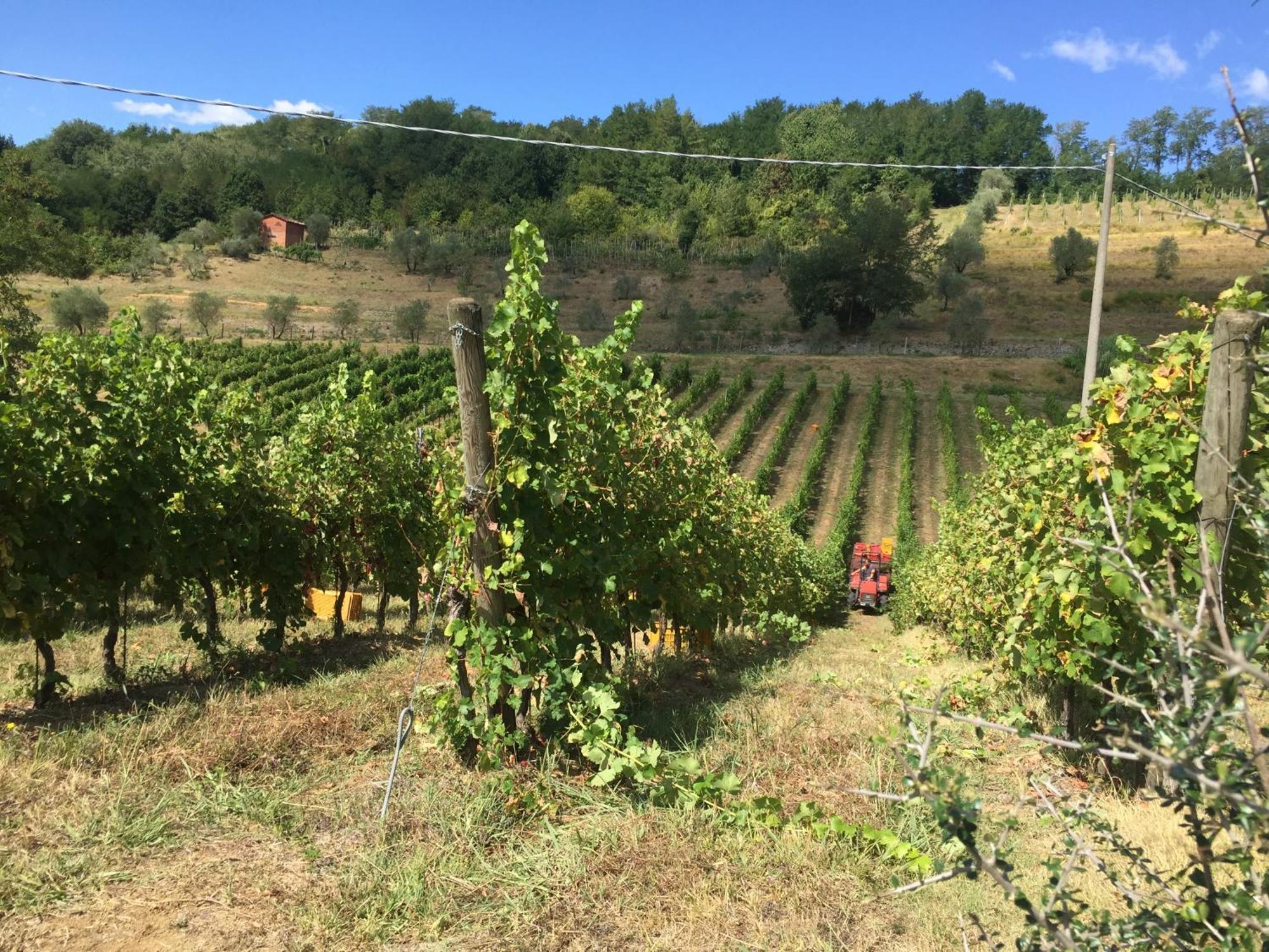 Agriturismo Il Bardellino Fivizzano Buitenkant foto
