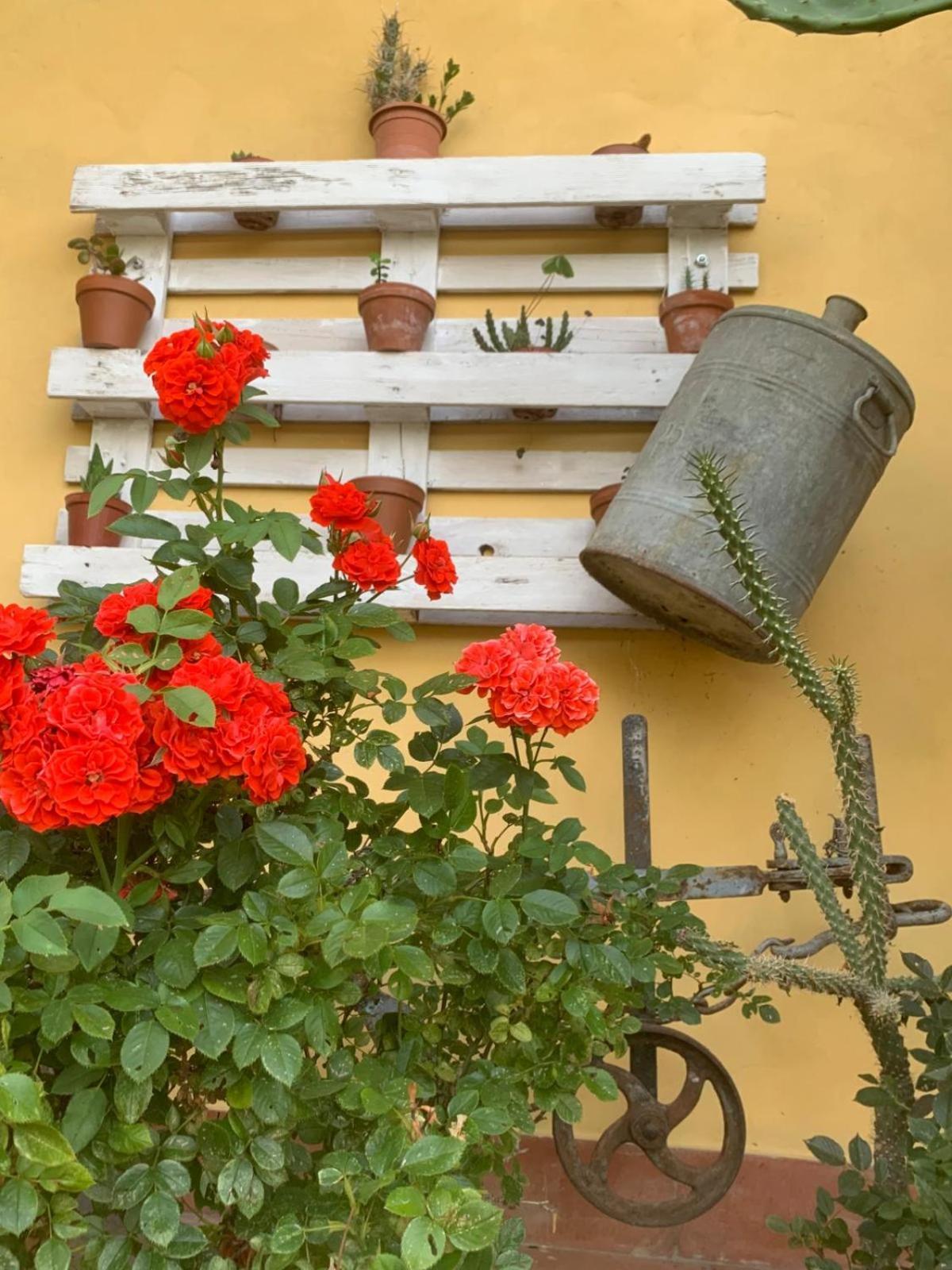 Agriturismo Il Bardellino Fivizzano Buitenkant foto