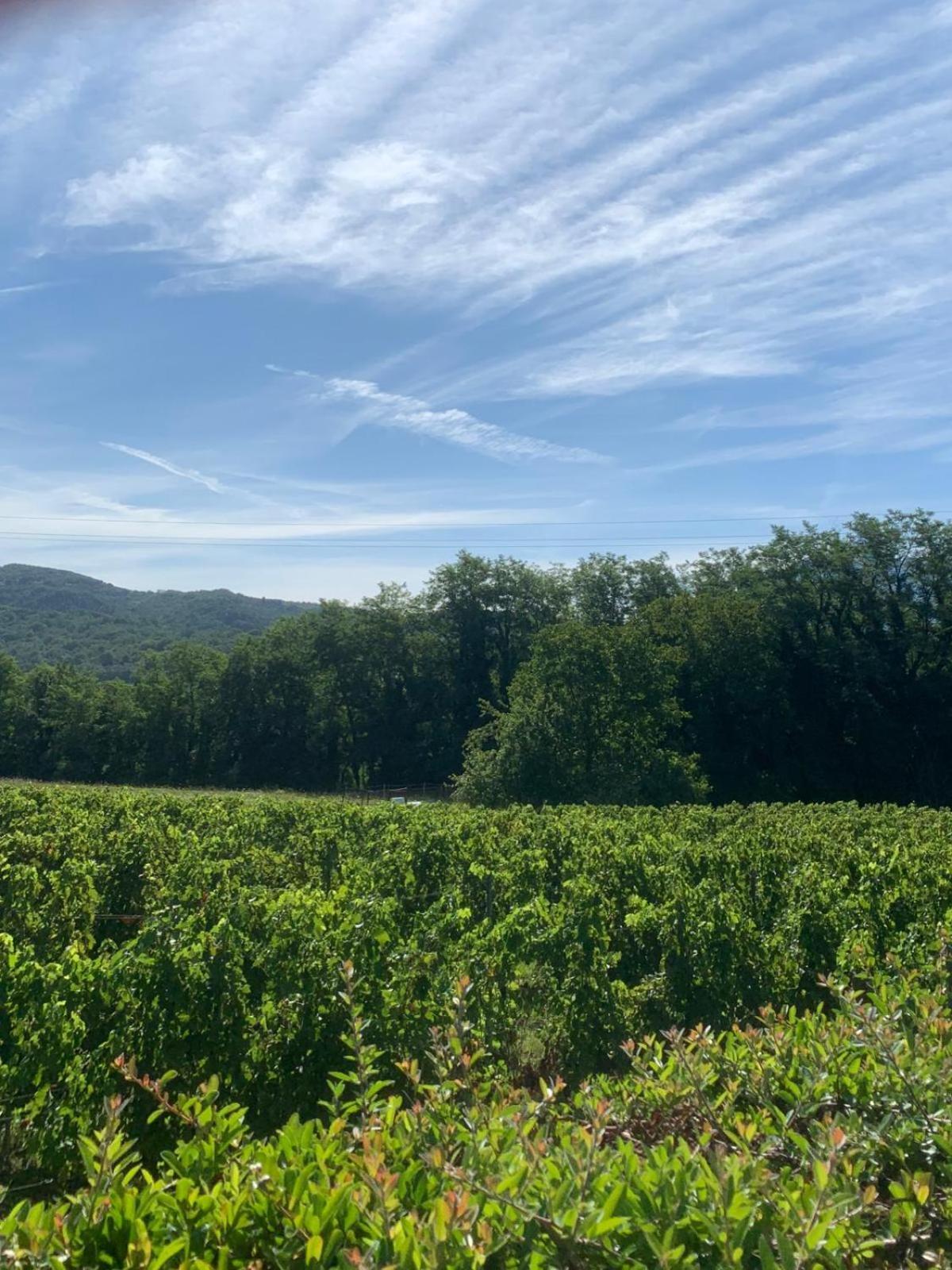 Agriturismo Il Bardellino Fivizzano Buitenkant foto